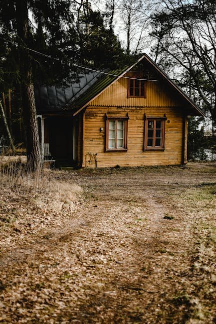 Scandinavian Cabin
